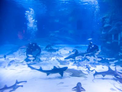 AQUARIUM