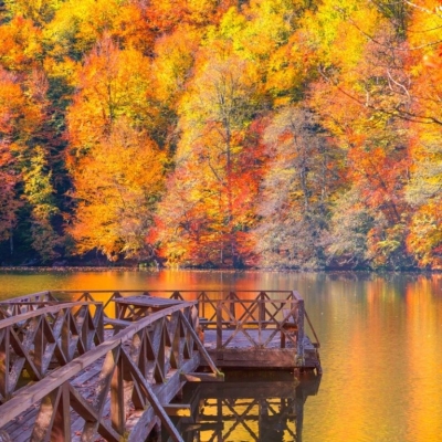 Best Transfer Destinations in Autumn