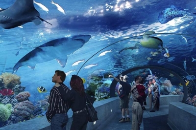 AQUARIUM